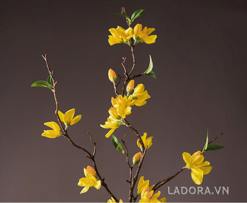 trang trí tủ phòng khách với ladora.com.vn