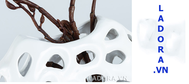 trang trí tủ phòng khách với ladora.com.vn